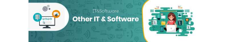 Other IT & Software